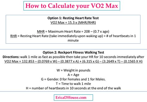 bruce protocol vo2 max calculator|bruce protocol vo2 max formula.
